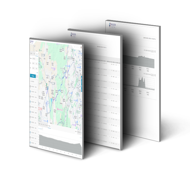 Reportes automáticos